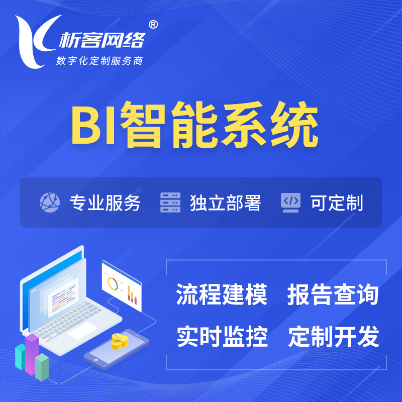 邵阳BI智能系统 | BI数据可视化