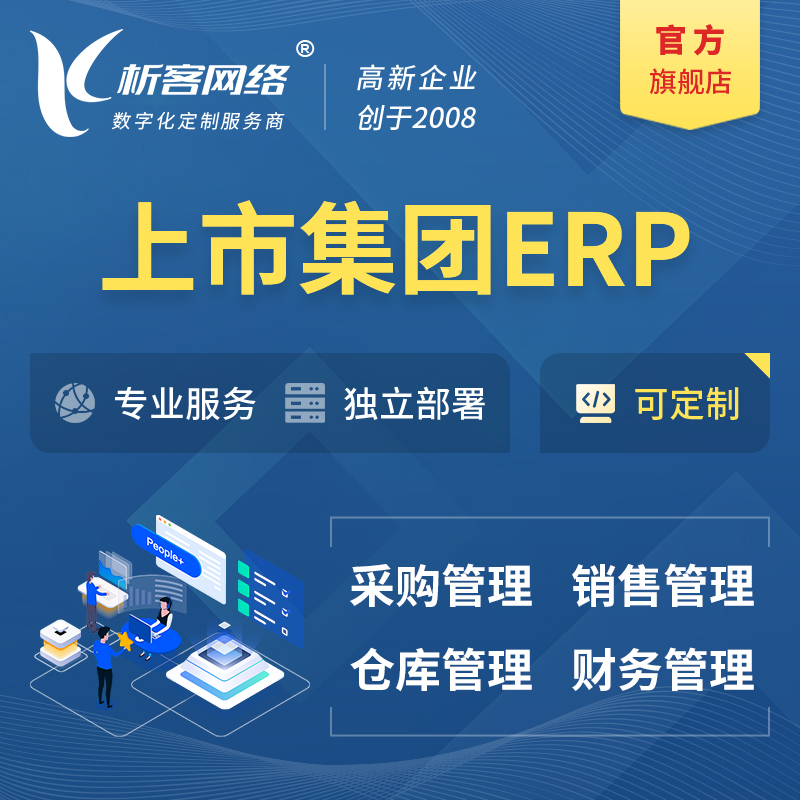 邵阳上市集团ERP软件生产MES车间管理系统