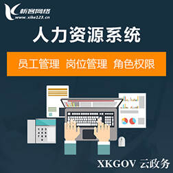邵阳政府网站定制如何应对高并发访问压力